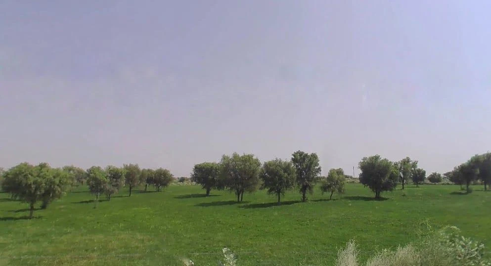 7H5C+JMQ, Molaniya, Rajasthan 334022, India