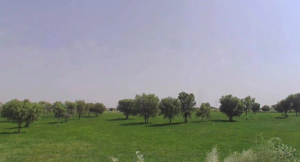 7H5C+JMQ, Molaniya, Rajasthan 334022, India