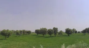 7H5C+JMQ, Molaniya, Rajasthan 334022, India preview 3