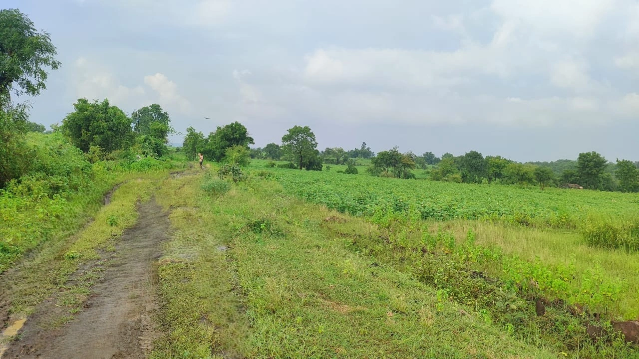 9QQJ+7P Dadhera, Maharashtra, India