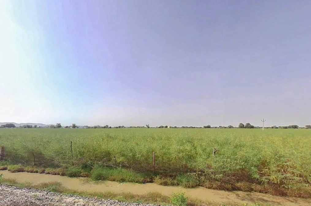 628R+63R, Sonkhar Rural, Rajasthan 321606, India