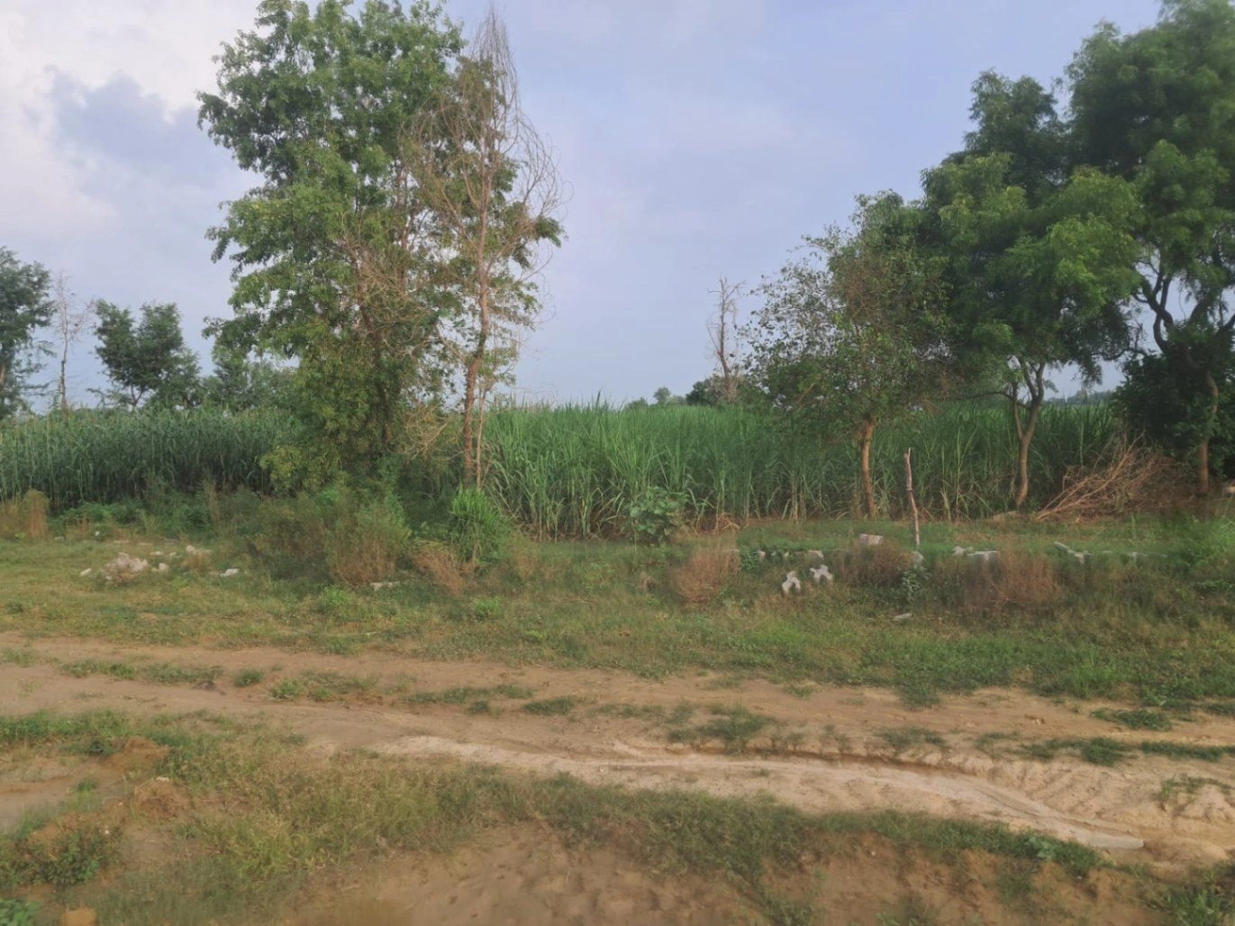 P6C2+8V, Ayodhya, Dadera, Uttar Pradesh 224135, India
