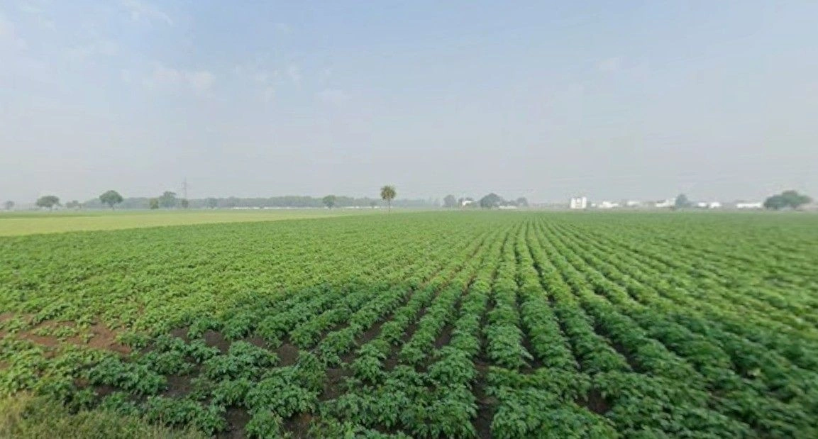 Budhni, Madhya Pradesh 466445, India