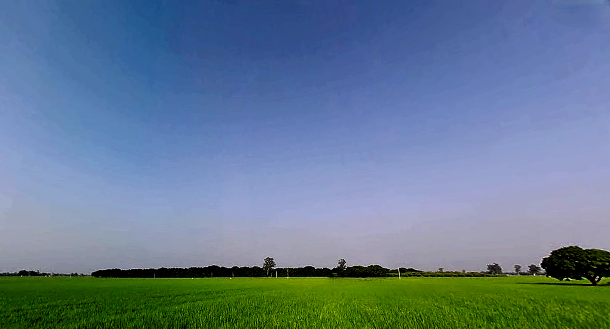 Rajpura, Punjab, India