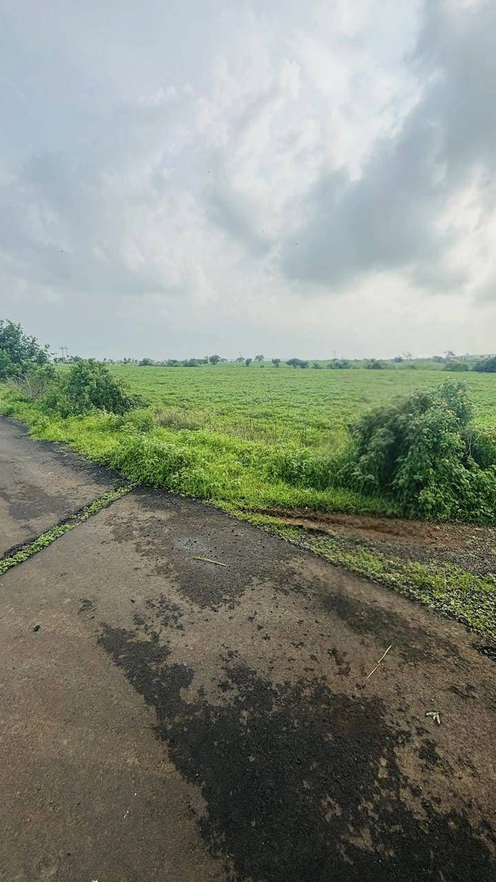 Budha Kheda, Madhya Pradesh, India