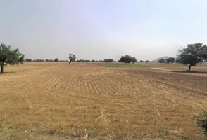 Jaisinghpur Khera, Haryana 123501, India preview 2