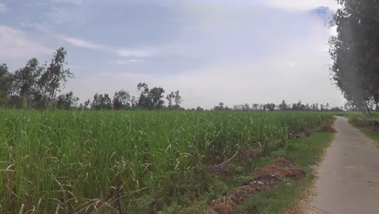 Garh Mukteshwar, Uttar Pradesh 245205, India preview 2