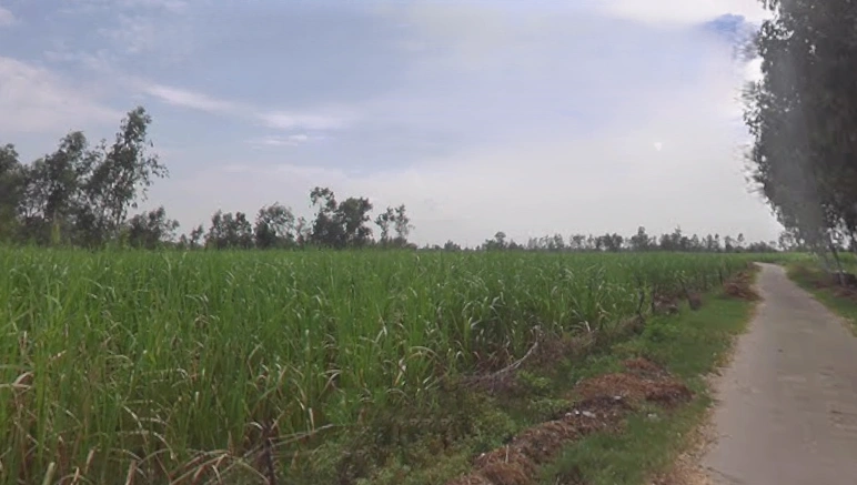 Garh Mukteshwar, Uttar Pradesh 245205, India