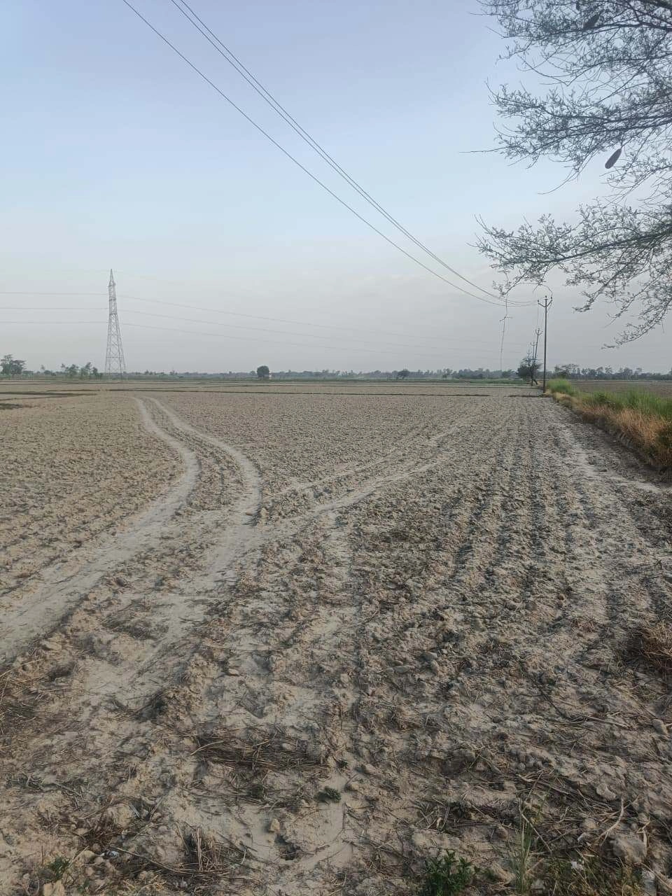 Aou, Rajasthan, India preview 3