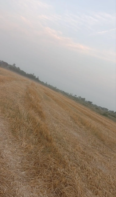 Rupnagar, Punjab, India preview 3