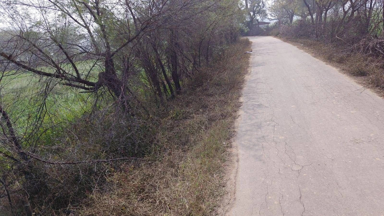 4VRX+39 Gopal Garh, Rajasthan, India
