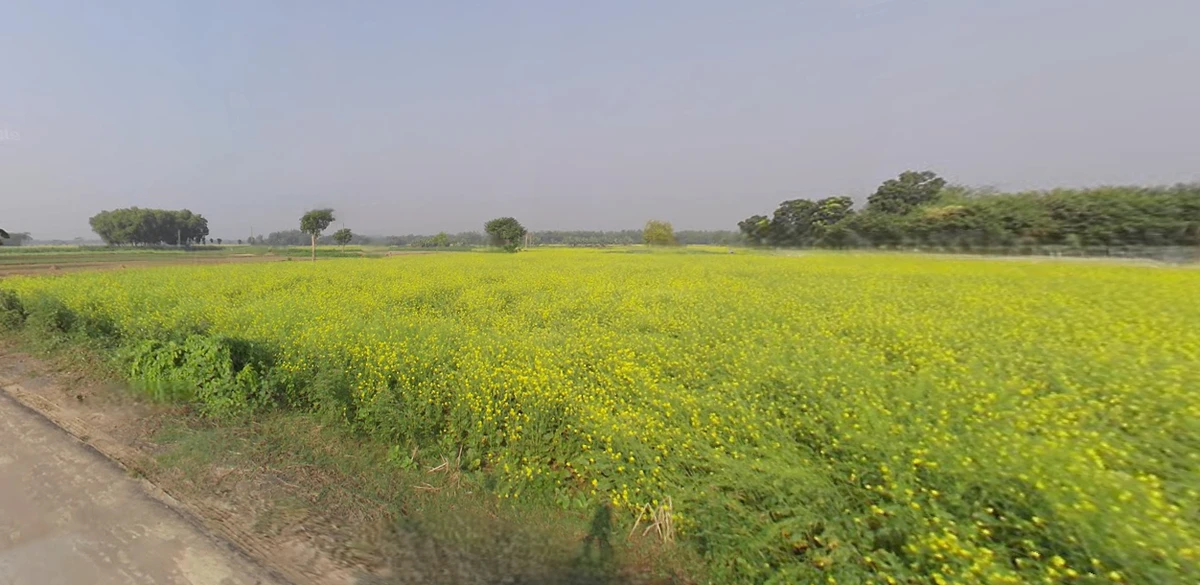 Krishnanagar, West Bengal, India