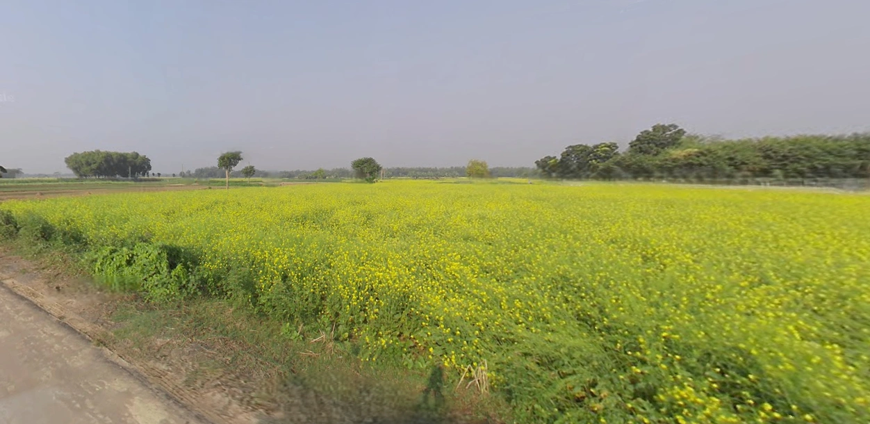 Krishnanagar, West Bengal, India