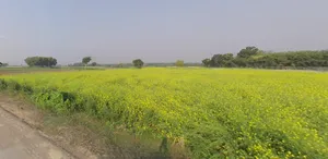 Krishnanagar, West Bengal, India preview 2