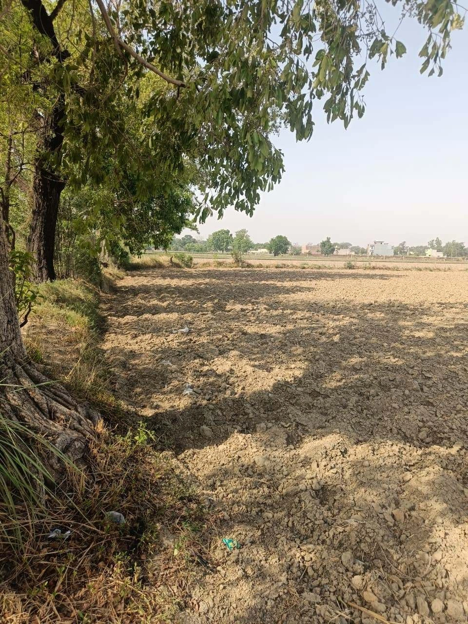 Ajhai Kalan, Uttar Pradesh 281406, India