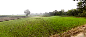 Hasanpur, Uttarakhand 247662, India preview 2