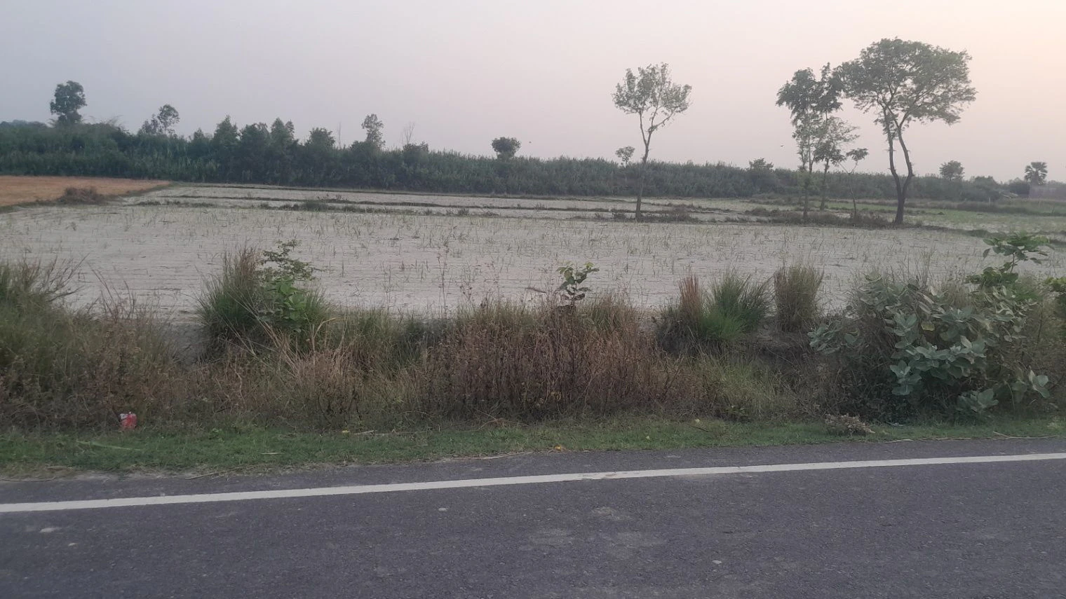 Misrana marg 2 Maushivla bajar, Masaudha, Uttar Pradesh 224001, India