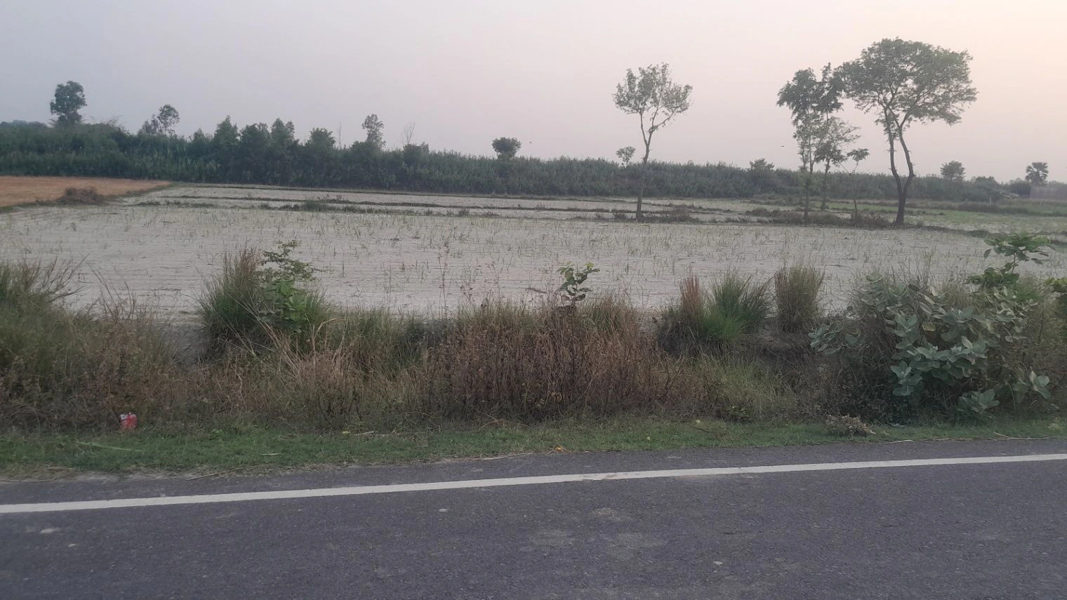 Misrana marg 2 Maushivla bajar, Masaudha, Uttar Pradesh 224001, India
