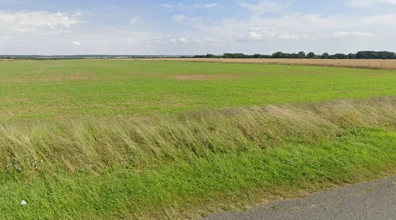 Rajpura, Punjab, India preview 3