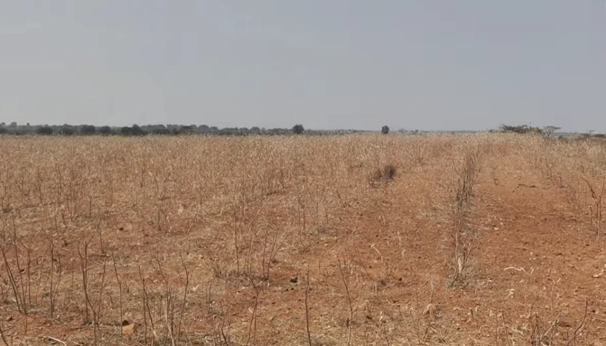 Penukonda, Andhra Pradesh, India