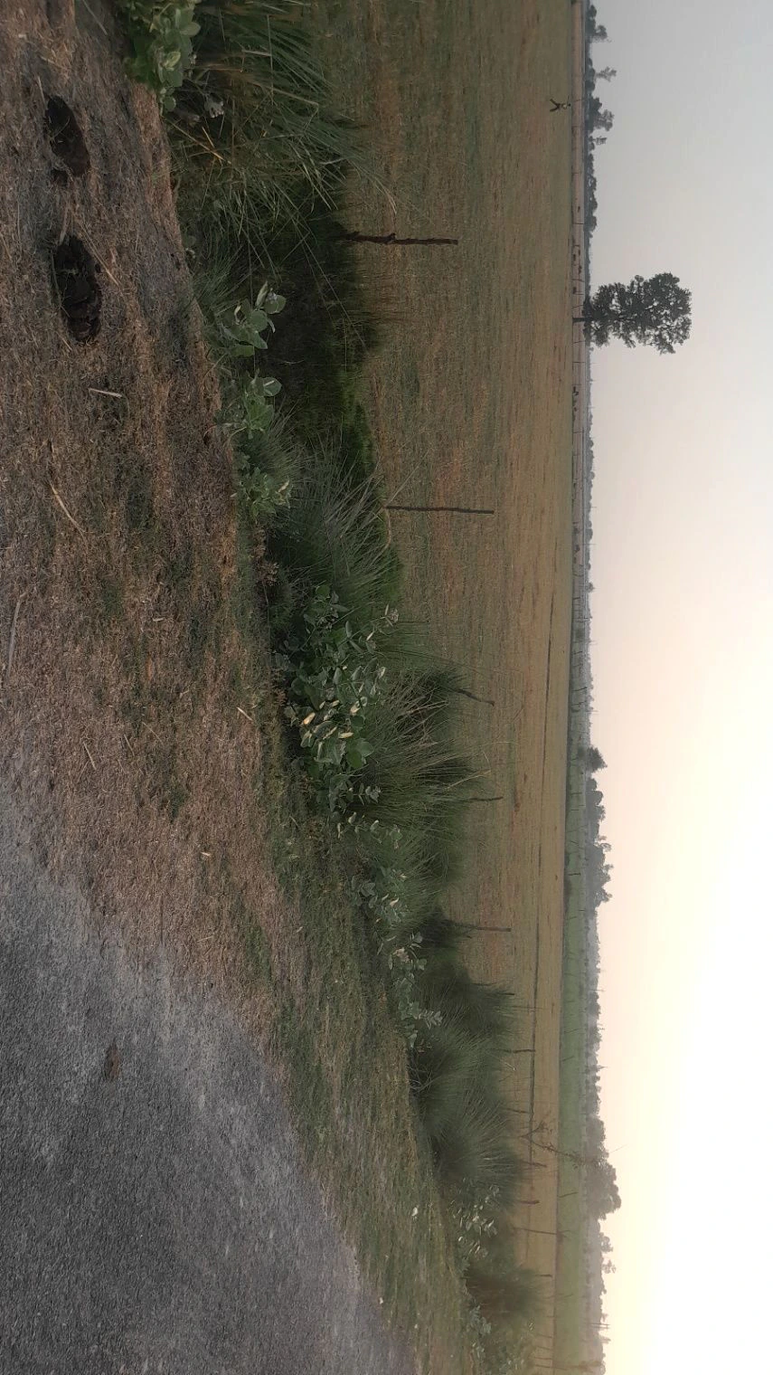 H2MP+2H Aadil Pur, Uttar Pradesh, India