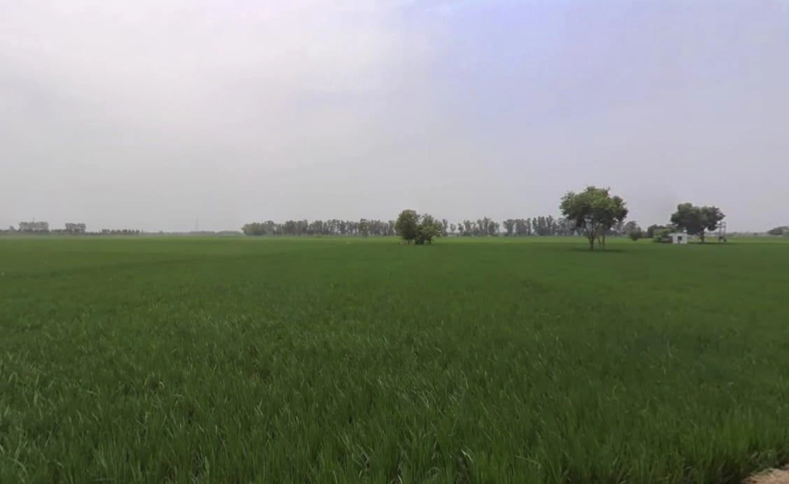 Kherkheda, Madhya Pradesh 455336, India preview 2