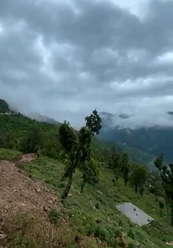 84PQ+RC8, Thewa, Dwara, Uttarakhand 249145, India