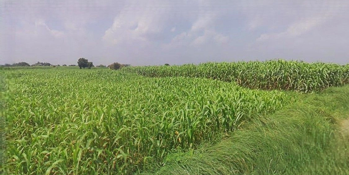 Hasanganj, Uttar Pradesh 209841, India