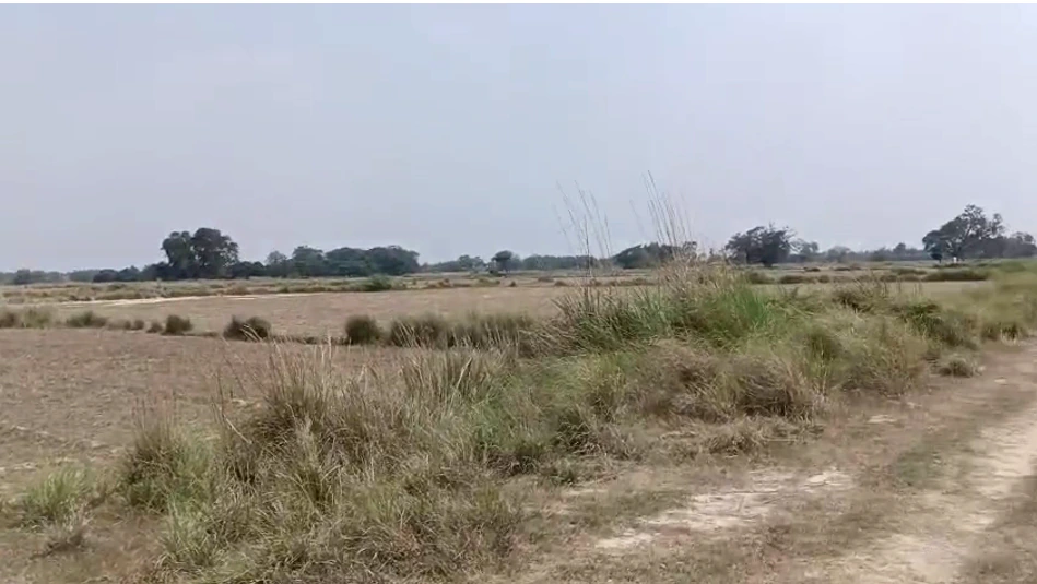 Purwa, Uttar Pradesh, India