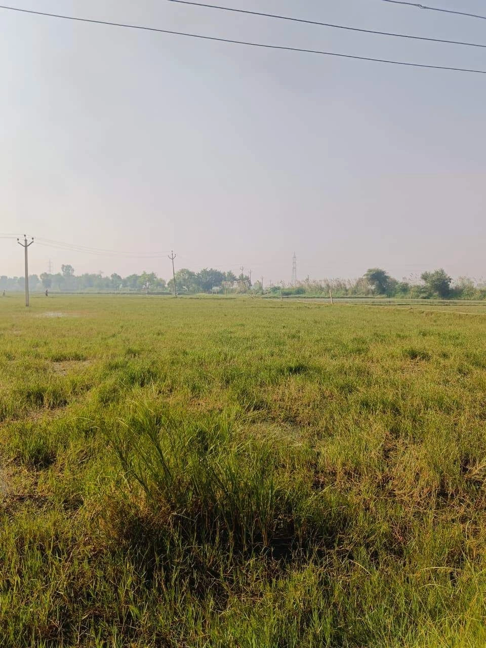 Umari, Mathura, Uttar Pradesh 281123, India