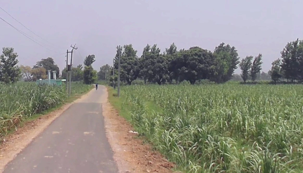 Bijnor, Uttar Pradesh 246701, India