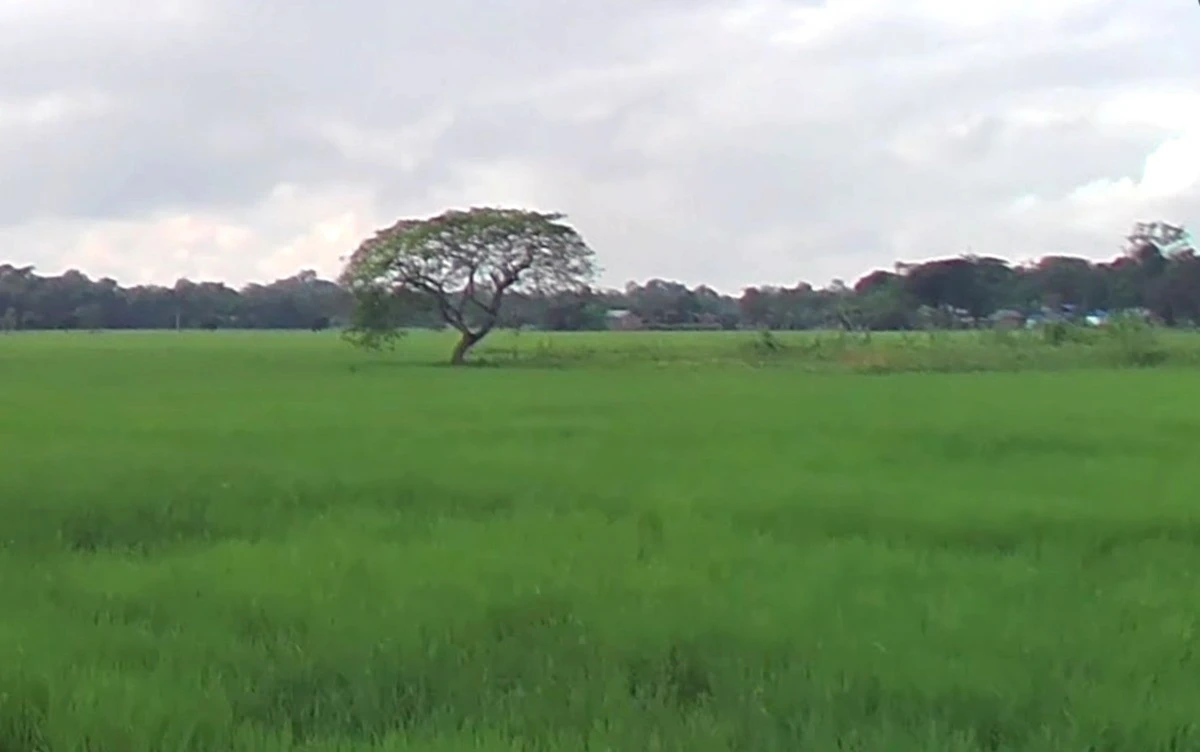 Shajapur, Madhya Pradesh 465001, India