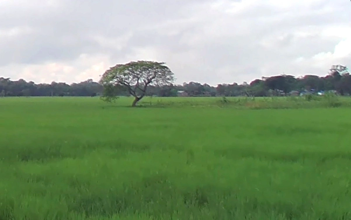 Shajapur, Madhya Pradesh 465001, India