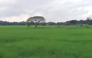 Shajapur, Madhya Pradesh 465001, India preview 3