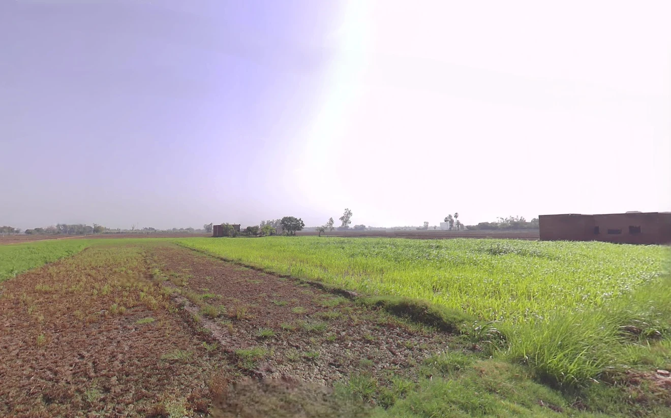 Bargodam, Kalka, Haryana 133302, India preview 2