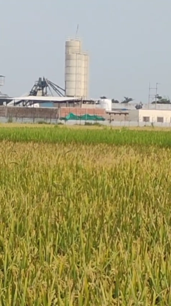 7RJF+HQG, Varanasi, Mehadiganj, Uttar Pradesh, India - Photo 4