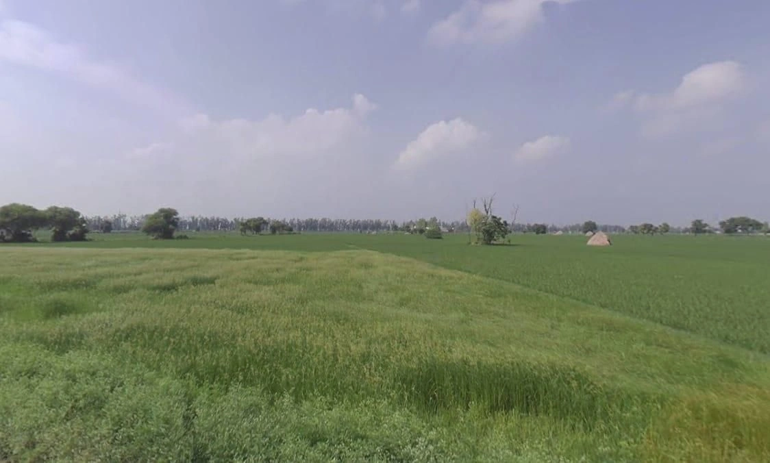 Richhi, Madhya Pradesh 455336, India
