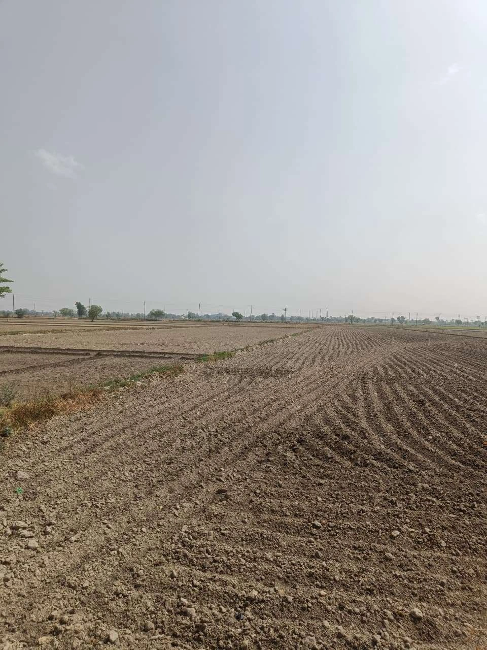 Aou, Rajasthan, India