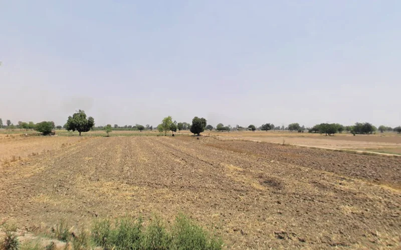 Hisar, Haryana, India preview 2