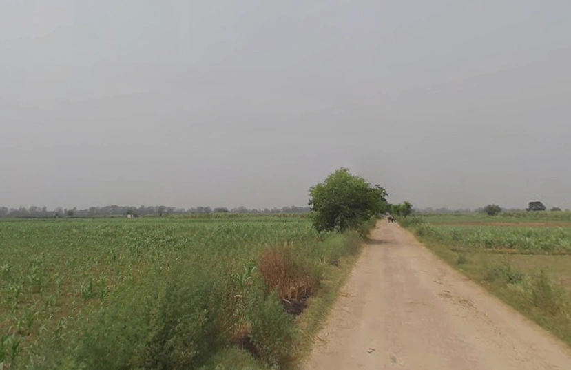 Mawana, Uttar Pradesh, India