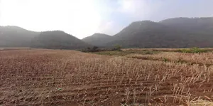 HH9P+M49, Alwar, Rajasthan 301001, India preview 3