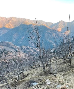 VXX7+3J Jandaur, Kangra, Himachal Pradesh, India