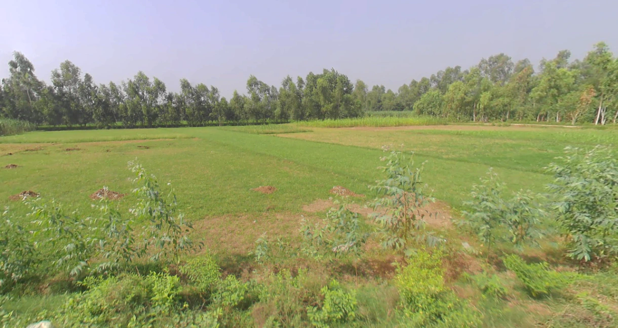 Bharana, Uttar Pradesh 203205, India