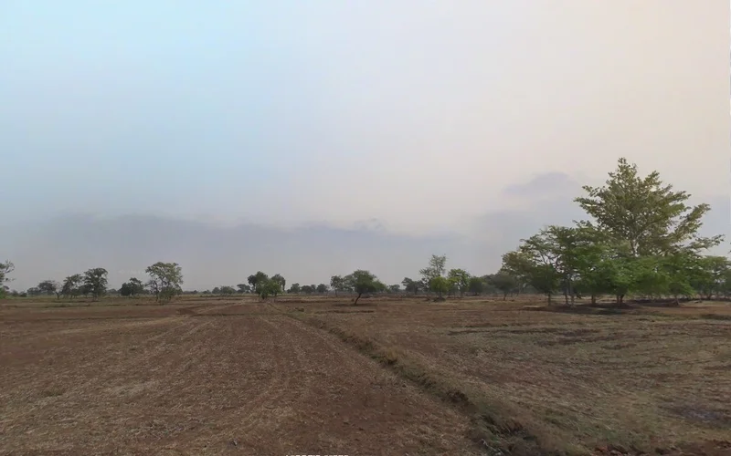 5M65+VFP, Raipur, Chhattisgarh 492015, India preview 2