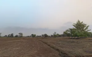 5M65+VFP, Raipur, Chhattisgarh 492015, India preview 2