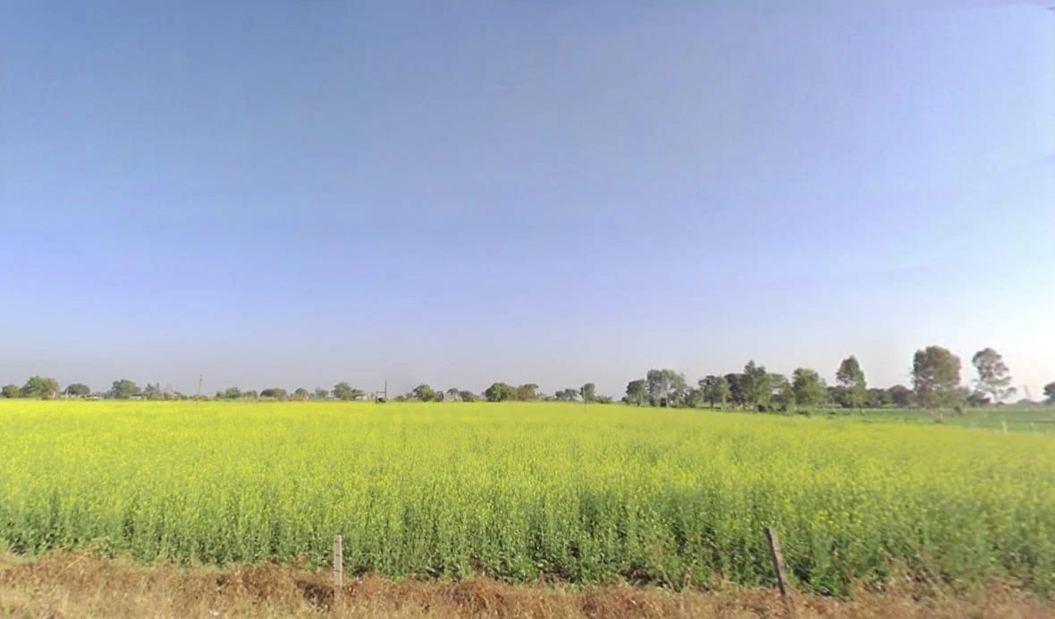 Bakaniya, Madhya Pradesh 462030, India