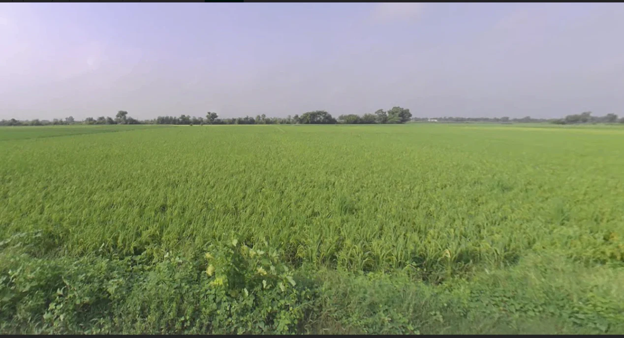 Solda - Jewer Rd, Jewar, Uttar Pradesh, India
