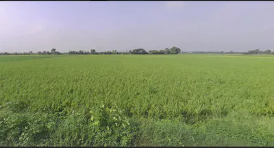 Solda - Jewer Rd, Jewar, Uttar Pradesh, India preview 2