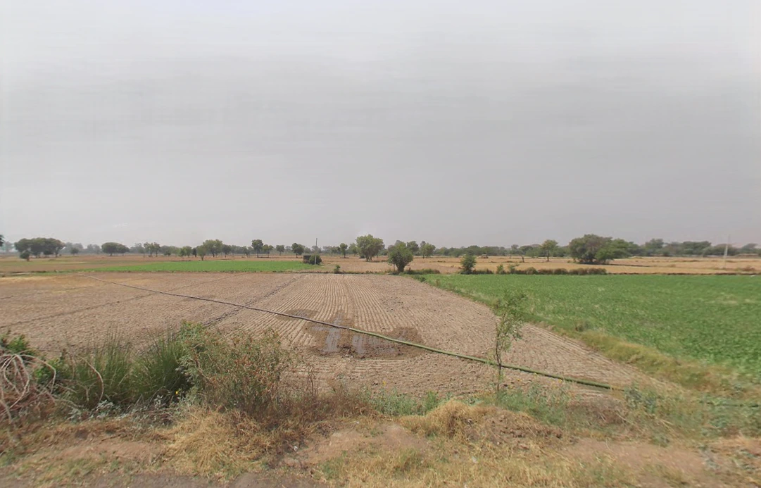 Fatehpuri, Haryana 124109, India