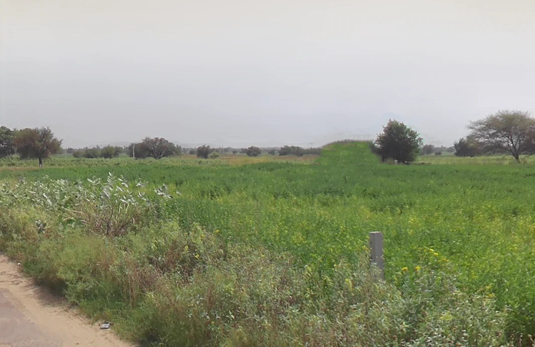 Dalawas, Haryana 127308, India